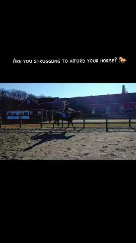 I've never wanted anything more than to be around horses. I didn't grow up riding, only started as a teenager and I could only afford so much.  It hasn't been easy but I've gotten really good at finding a deal, using discount codes, applying for rebates or rewards points on horse meds or feed or supplements.  This year alone, I've been lucky enough to have been able to afford a lot of major vet bills (like over $15k and still going).  I have paid off student loans, own my car outright and have savings, an emergency fund and live debt free because of the ways I've learned to save and spend smarter.  I'm here to share any and all ways I've found to find horse items cheaper, stacking your savings and rewards points.  Follow & make sure you don't miss out!  #horsegirl #equestriansoftiktok #equestrianonabudget #ridemore 