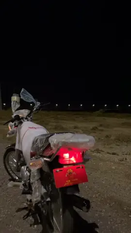 وارد بن ثابت الاصلي#ماشاءالله_تبارك_الله_❤️‍ #