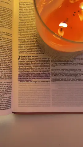 i love this verse!! galatians 6:4 #bibletok #bibleverse #verseoftheday #fyp #Love 