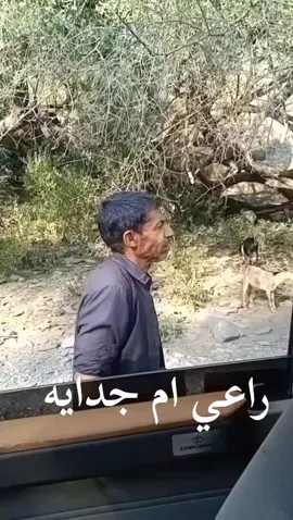 #خولان_بن_عامر #تيك #السعودية 