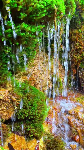Nature Sound for Relaxation 111 Flowing Water #short #watersounds #flowingwater #naturrelaxation 