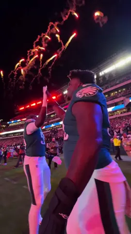 Play ball #eagles #nfl #eagle 