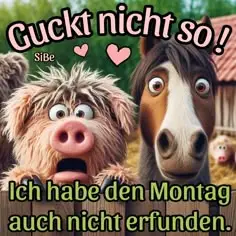 #gutenmorgen #startindiewoche 