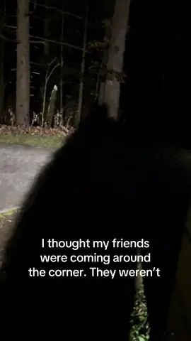 And then I slipped and ran away #fyp #funny #scareprank #foryoupage #trending 