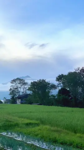 Sejujur mana kata-kata - Spring ✍🏻.  #beautiful #ceritaalam #lagujiwang #spring 