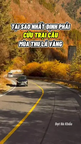 Cửu Trại Câu mùa thu, mùa đẹp nhất trong năm #đạthàkhẩu #dulich #dulichtrungquoc #tiktoktravel #cửutrạicâu 