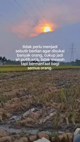 📍#maxxibimocombine #samharvester #madiun24jam #petaniindonesia🇮🇩🇮🇩🇮🇩🌿🌿 #bimo102 