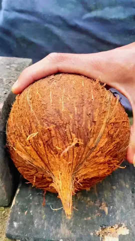smart way to open a coconut from its shell #coconutcutting #asmr #cuttingskills #satisfying 