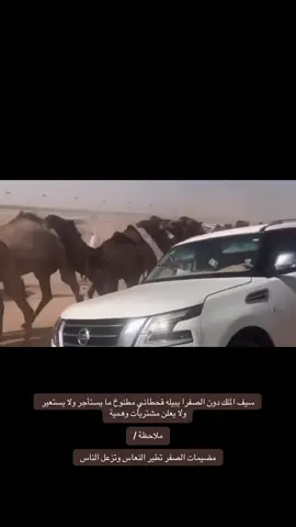 ما اعلن المشاركة فالسيف الا ابن ظبيه         #الصياهد #قحطان #505 #مضيمات_الصفر #ابن_ظبيه 