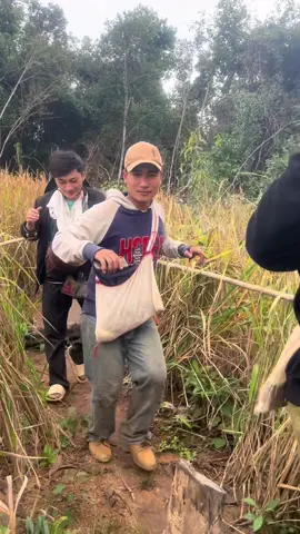 #ไว้ลุนดาวบ้านดอน#เพลงดาวบ้านดอน #ฟีดดดシ #เพลงฮิตtiktok #ທໍາມะຊາດບ້ານເຮົາ🌿🏞 