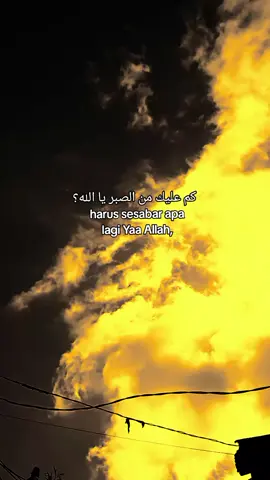 😇 #arabicsong #katakataarabic🇸🇦🥀 #langitaesthetic #foryoupage❤️❤️ #xyzbcafypシ 