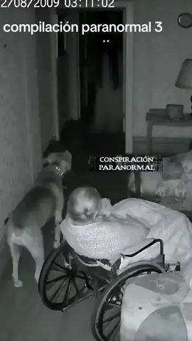 #buenfinentiktokshop #aliens #cospiraciones #horror #terror 