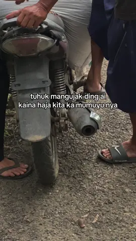 ngingil lintuhut jar fahru #fypbanjar #trendingvideo #banjarbanar #buhanbanjar 