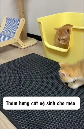 Thảm hứng cát vệ sinh cho mèo #thamhungcatmeo #thamhungcatvesinhchomeo #thucung #viral 