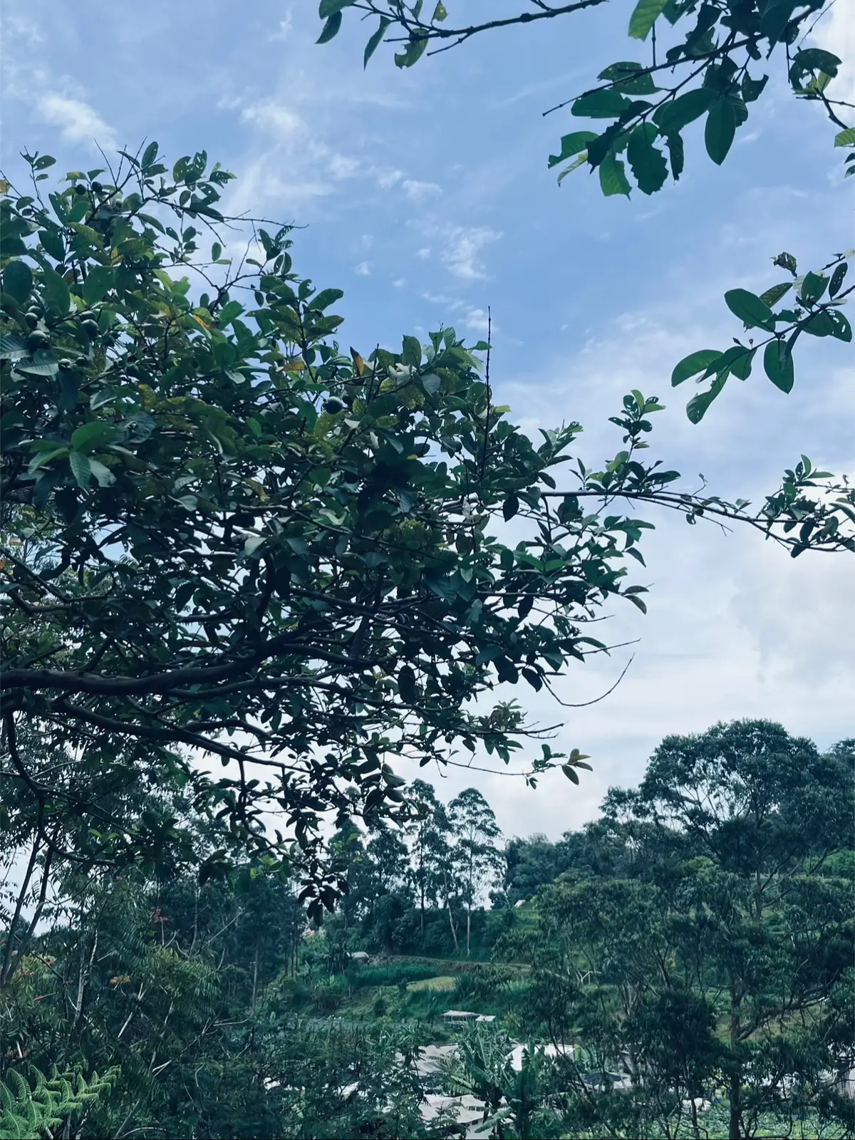 💆🏻‍♀️ #curugtiluleuwiopat 