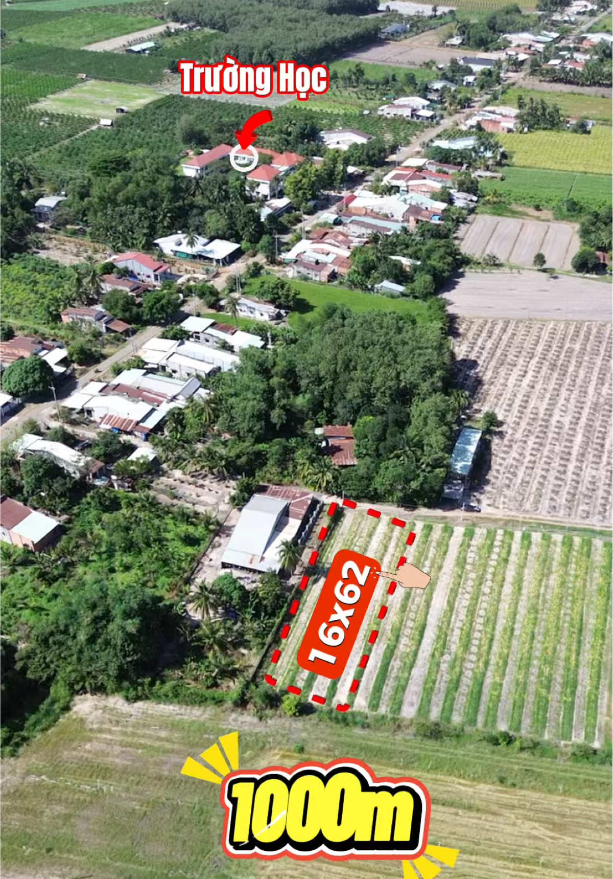 Mặt tiền rộng diện tích lớn Sát nhựa sát chợ #chiensandatre #dattayninhgiare #nuibaden #chienphambds 