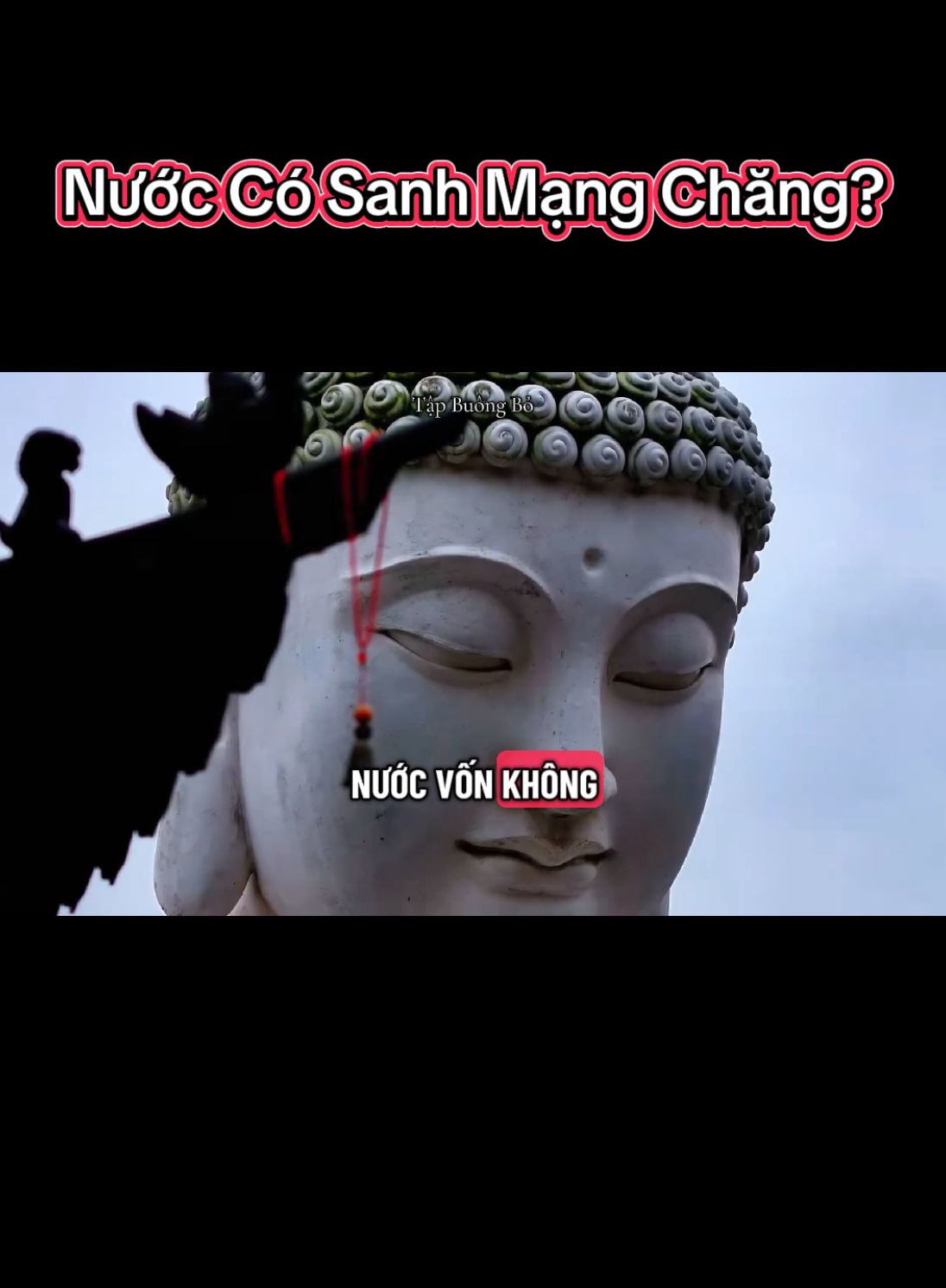 Nước có sanh mạng chăng? #phatphap #giacngo #mitienvandap #loiphatday #tapbuongbo96 