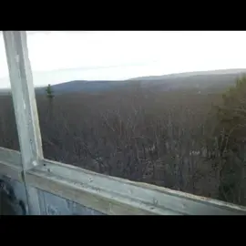 #moodboard #nostalgia #fyp #pinterest #life 