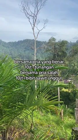 #petanisawit #kulisawit #sawit #katakata #fyp 