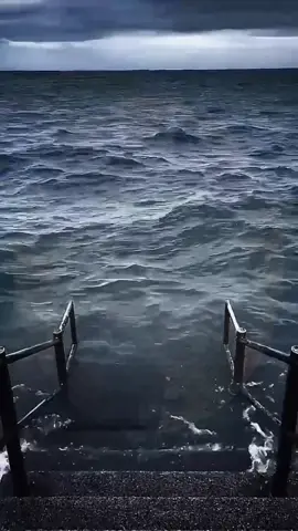 #meme #videohaihuoc #funny #viral #xuhuong 