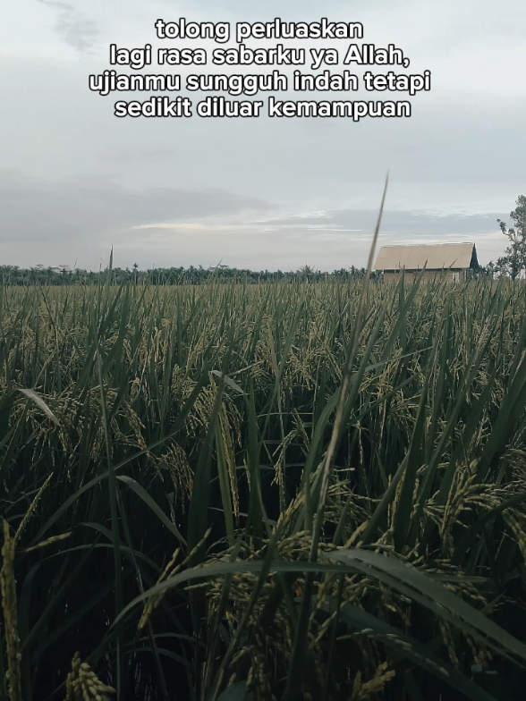 perluas lagi rasa sabar ku ya Allah🤲#CapCut #quotes #storyislami #promomakanharian #fpyシ 