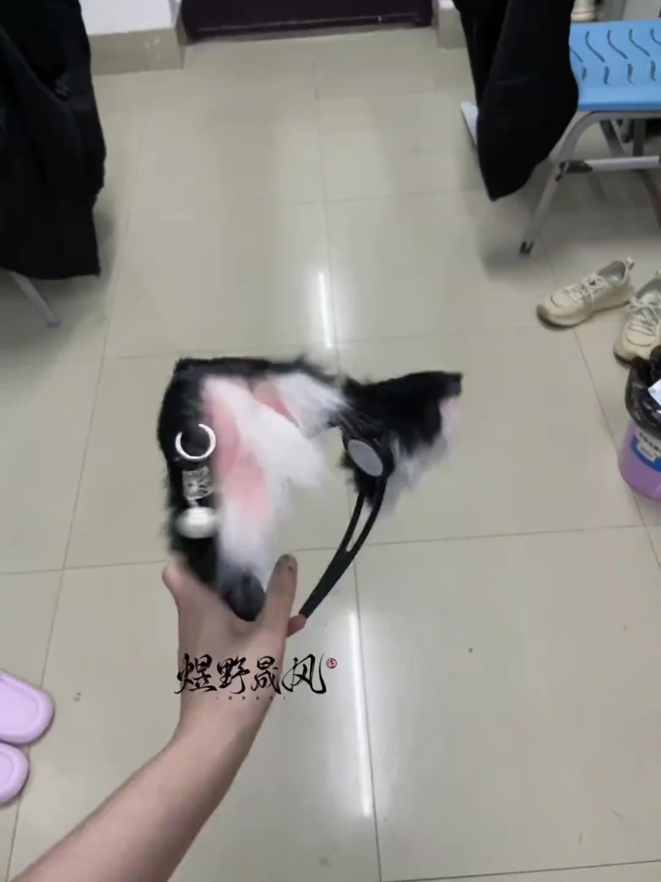 Super Cute Electric Ears: Automatic and Touch-Sensitive Modes Cosplay Cat Fox Ears - USB Rechargeable Ears with Touch-Sensitive Mode, Soft Plush Material, Suitable for Halloween Christmas Valentine's Day Cosplay Accessories, Costume Accessories Masks Fest #hightechgadgets #huntaccessories #handmadeplush #toysforcats #cutegifts #electricwearableblanket #halloweenpettoys #earmuffheadphones #adhesiveearrings #funnyaccessory