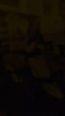 “Naik Filano Hybrid Lux, bensin irit, yang boros cuma perasaan