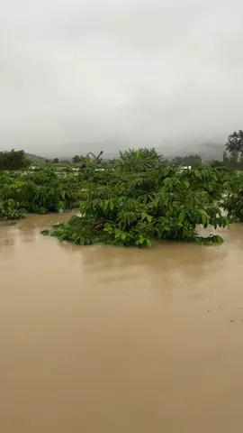 Còn gì nữa #47daklak #lulut #2025 