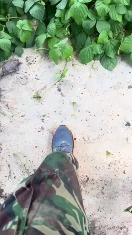 #ijinsenior #fyppppppppppppppppppppppp#fyp #beranda 