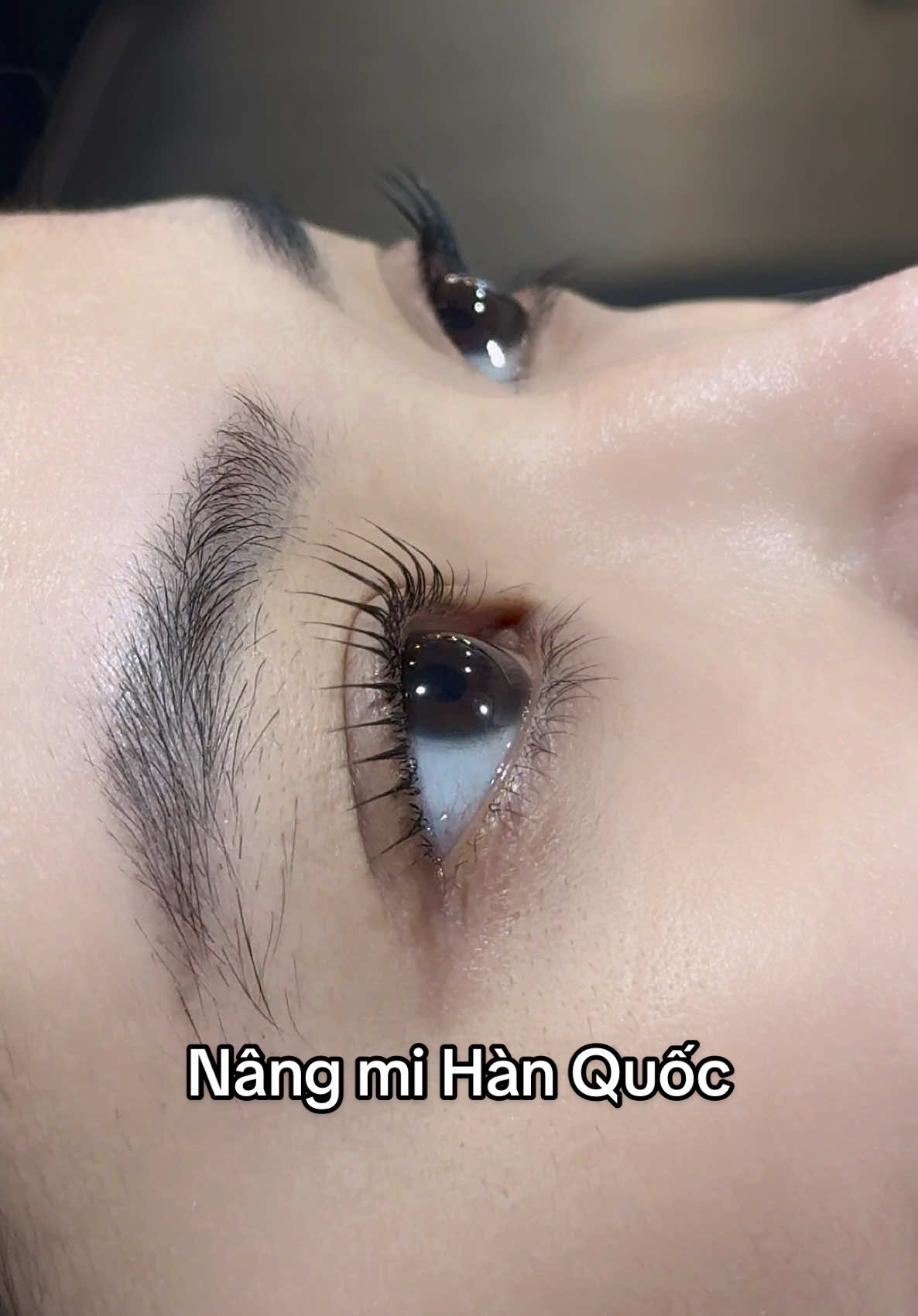 Uốn mi mà như nối mi mắt ướt luôn 😍#masterhaphuongeyelash #chuyendaotaohocvien #uonmihanquoc #noimidephanoi #uonmimatuot 