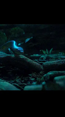 Hollywood movie edits Viral movie scenes #fyp #foryou #viral #trending#FYP #ForYou  #HollywoodVibes #CinematicLook #FilmScene #MovieEdit. 