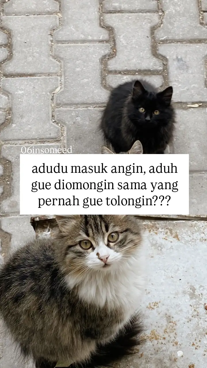 #foryoupage #bismillahfyp #katakata #zmn14 