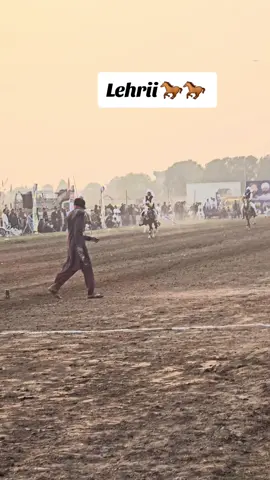 Lehri neza bazi🐎🐎#trending #horse #mirpur_ajk #tiktok 