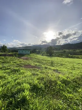 #fyp #ท้องฟ้า💙🕊️ #วิวบ้านนอก🍃 #ลูกสาวนา🌄🌾 #สตอรี่_ความรู้สึก😔🖤 