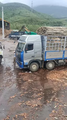 3 ngày rồi...cho tao về đi mấy chú mấy a ơi 🥴🥴#xuhuong #77h00468 #nghenghiepcuatoi 