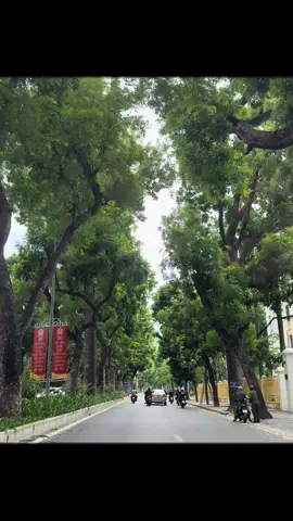 #tìm lại chốn cũ  