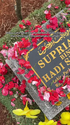 #rinduibu #kangenmama #alfatihah #surgaku #piatu 