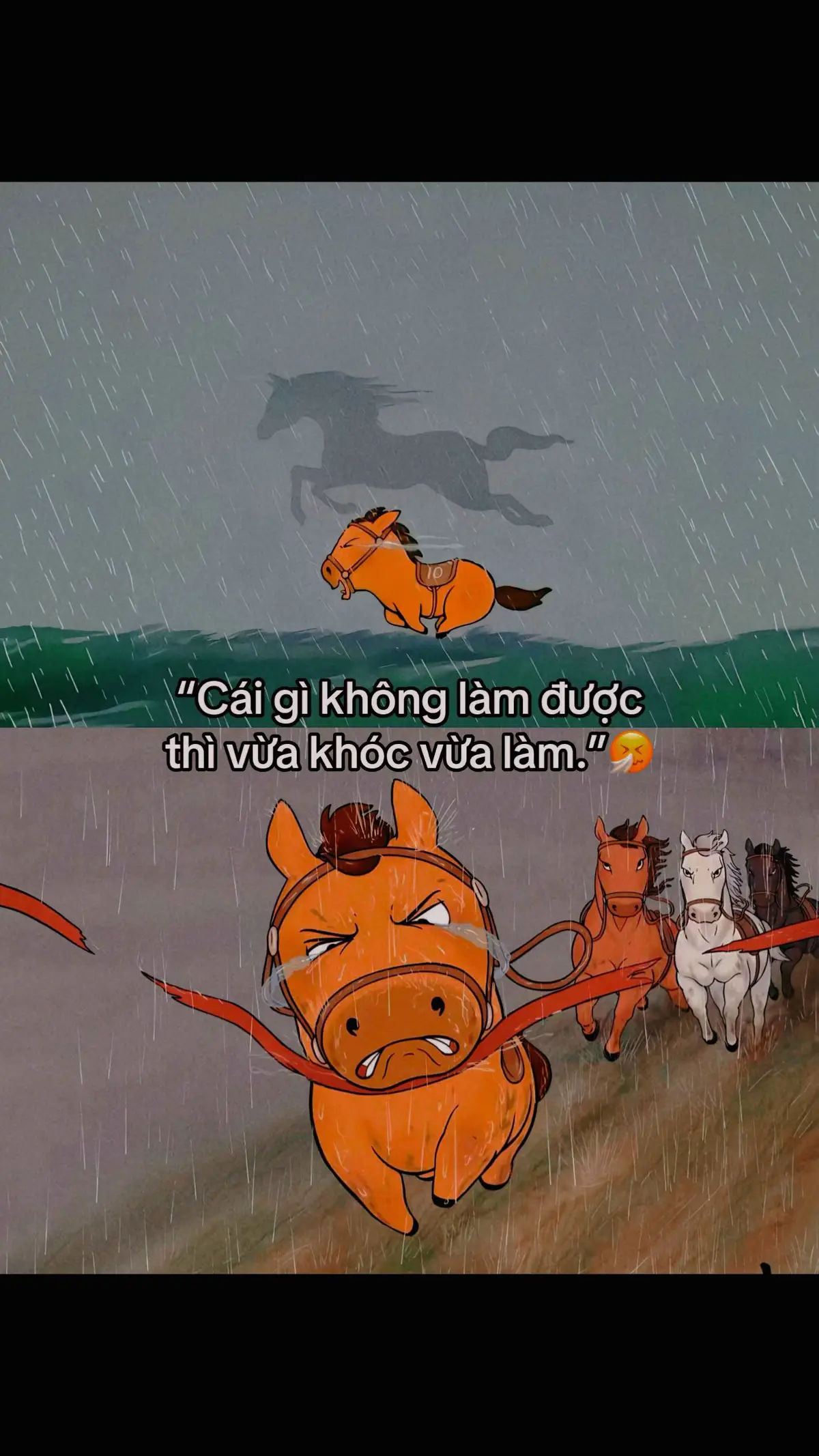 #sachhaynendoc #sachhay #sachhaymoingay 