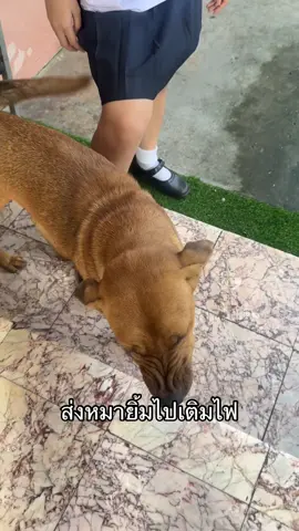 อ้วนยิ้ม น่ารักเว่ออ #ข้าวฟ่างงงงง #fyp 