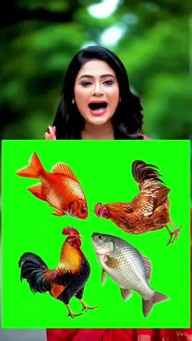 puzzle challenge video 📸 #fbreels #Circlechallenge #viralchallenge #puzzle 