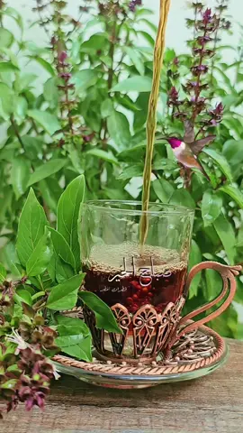 #لا_اله_الا_الله_وحده_لاشريك_له #صباح_الخير #صباحكم_معطر_بذكر_الله #اذكار_الصباح #اكسبلور 