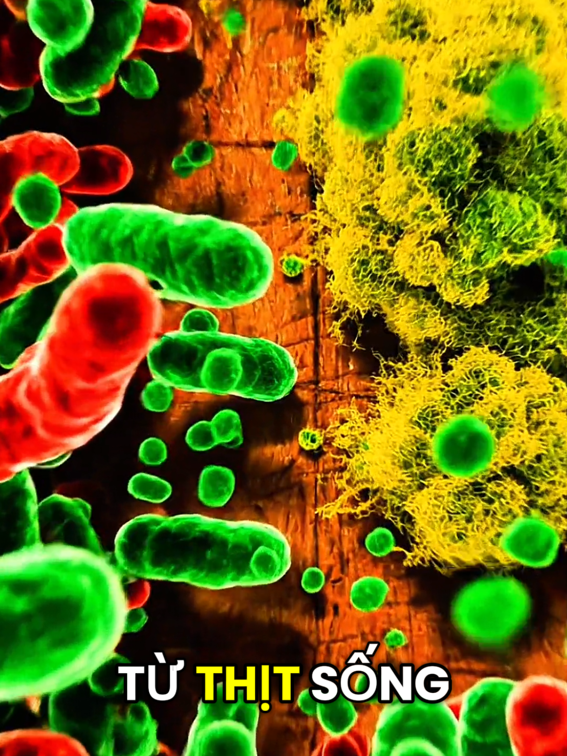 4 thói quen mà rất ít người để ý nhưng lại có nguy cơ mắc ung thư. #theanh28 #songkhoemoingay #tiktoknews #fpy 