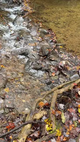 Who want to go fishing with me? #catarinasecret #sandwichcutiecat 