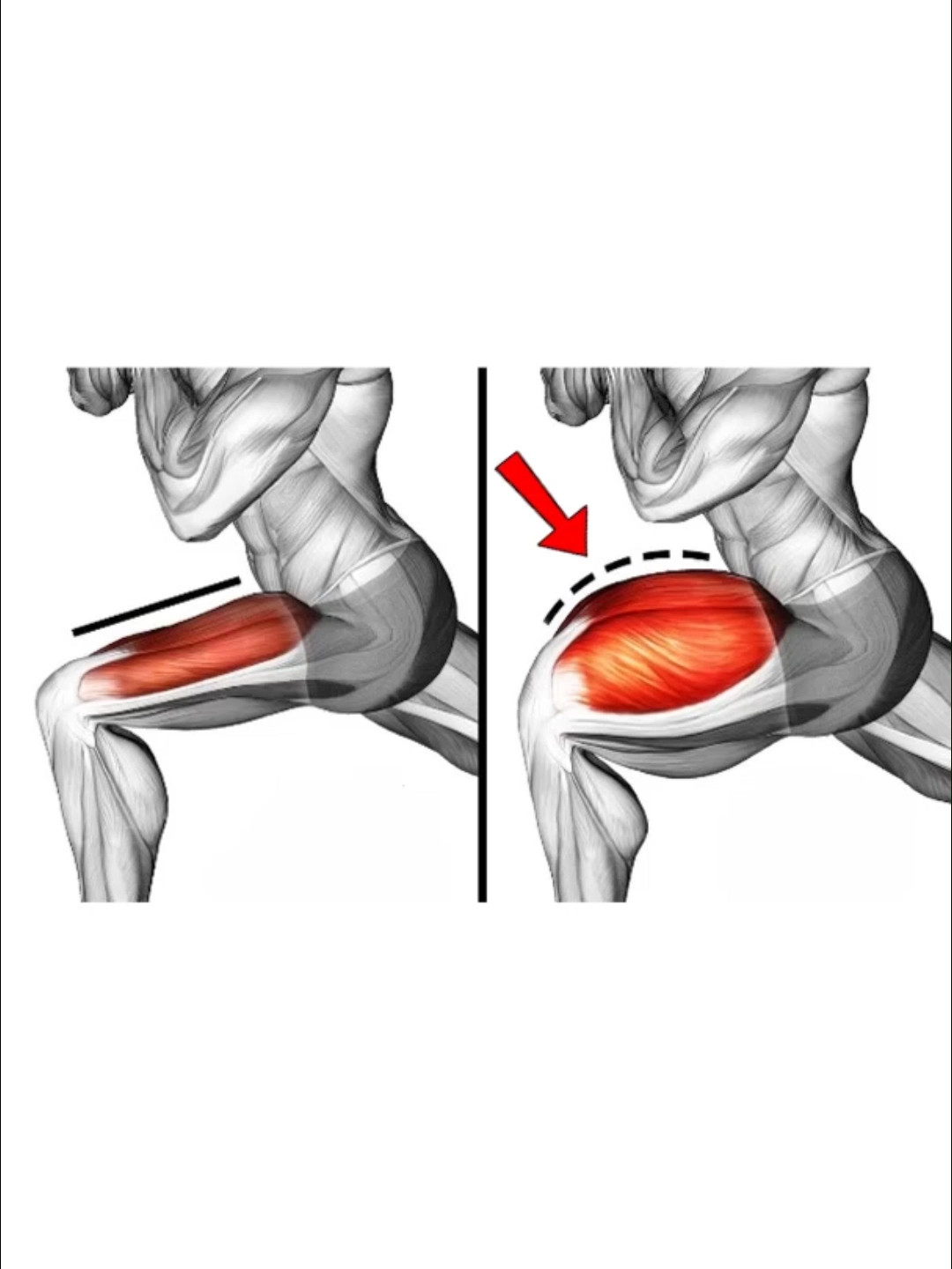 How To Get Bigger Legs 🔥 #Fitness #exercise #gym #GymTok #workout #muscle #legworkout