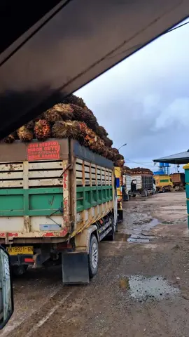 #padahariin #fyp #promomakanharian @anggaprayoga @Febby s @Maz agus09 @𝙐𝘾𝙃𝙄𝙇𝙇🟤🟠🔴 @@amang gery @Lasidi Jr. @masfebri.f26 @andi.prasetya09 