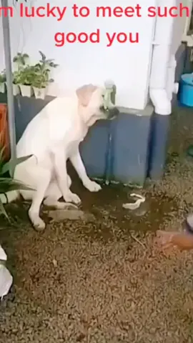 #Love #Love #life #life #baby 