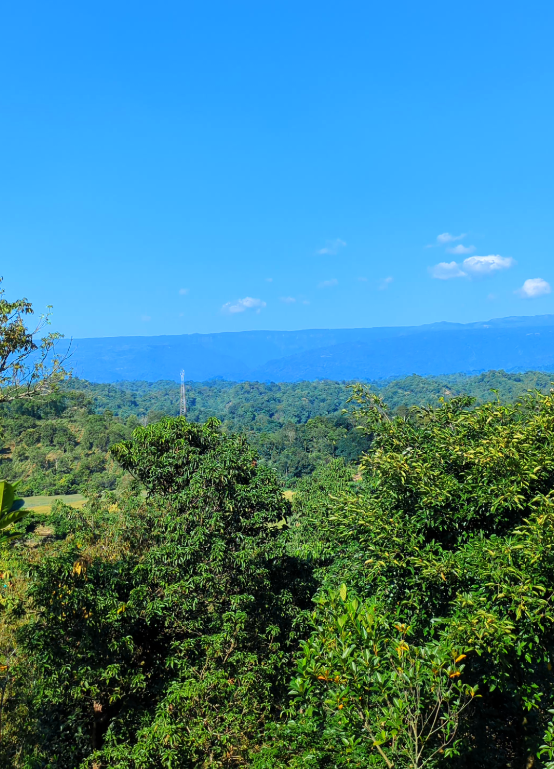 প্রাকৃতিক সৌন্দর্য মন ছুঁয়ে যায়।🌿🥰🩷 #foryou #foryoupage #netural #tiktok #viralvideo 