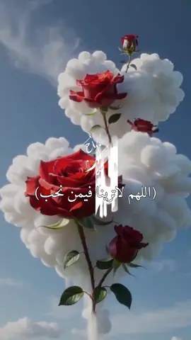 اللهم في هذا الصباح لاترينا فيمن نحب إلا مانحب❤️#صباح_الخير #صباحكم_سعادهـ🌸🍃 