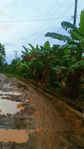 Lamtim nih boss,senggol dong🤣🤣🤣🫢 #lampungtimur #fyppppppppppppppppppppppp #fyp 