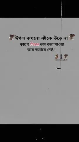 🗿♟️🦅part:72 #foryoupage #foryou #vairal #tranding #bdtiktokofficial 